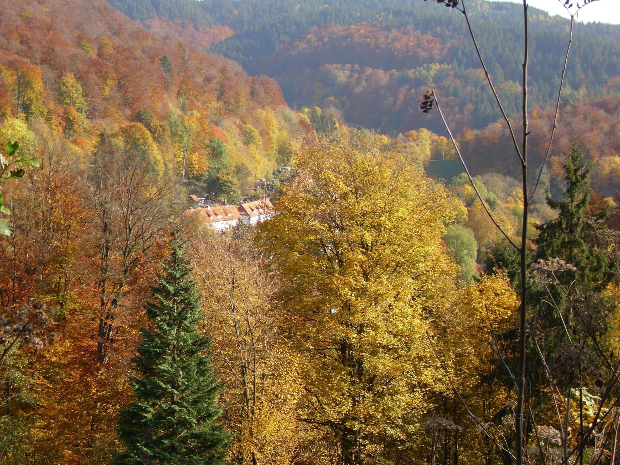 Naturkost-Hotel Harz Bad Grund Exteriör bild